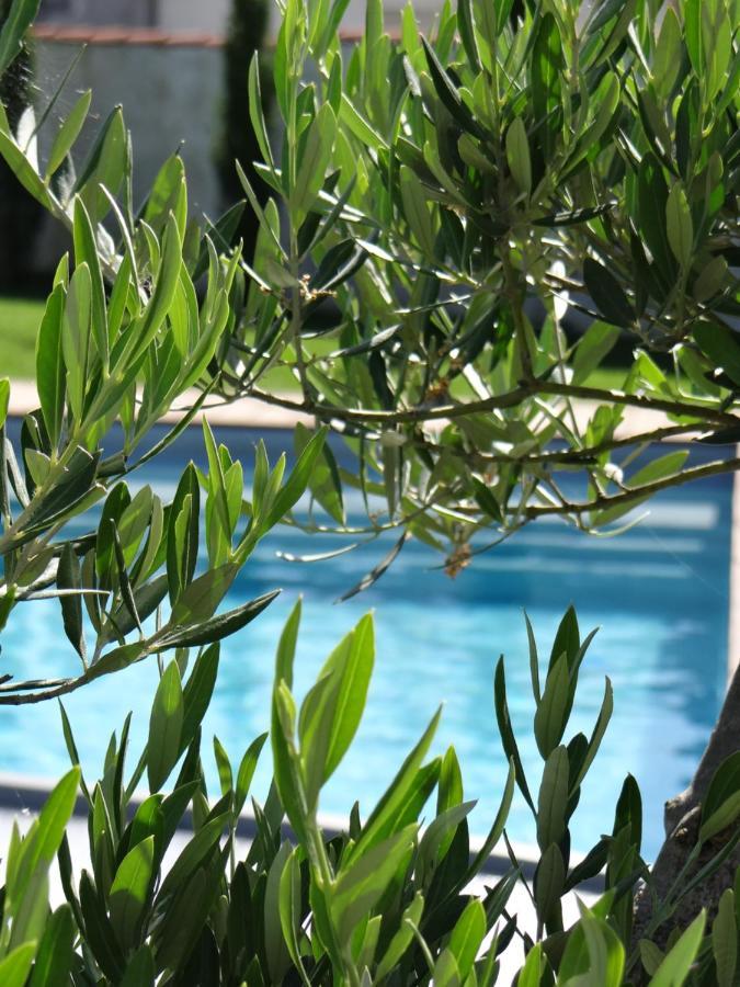 Les Marguerites Bed and Breakfast Champdolent Εξωτερικό φωτογραφία